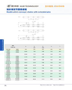 Double pitch conveyor chains with extended pins