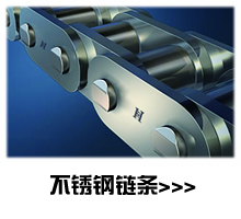 Stainless steel chains